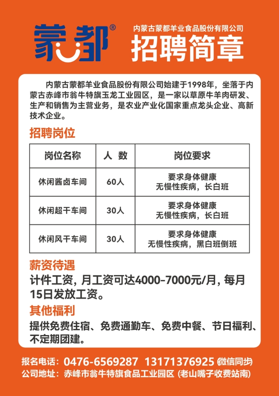 永修招聘网最新招聘，城市求职奇遇与友情的绽放之旅