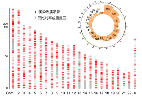 澳门最精准真正最精准,科学解释分析_复制版94.492