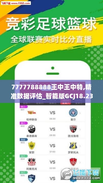 王中王72396.cσm查询单双八尾,执行验证计划_持久版94.179