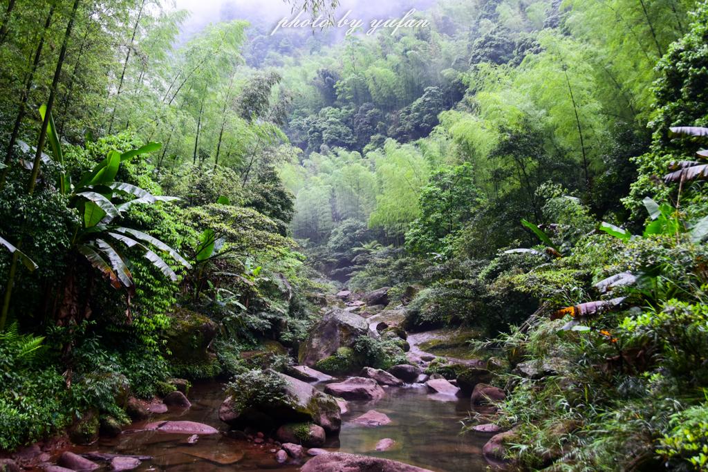 百里竹海旅游建设最新动态与步骤指南