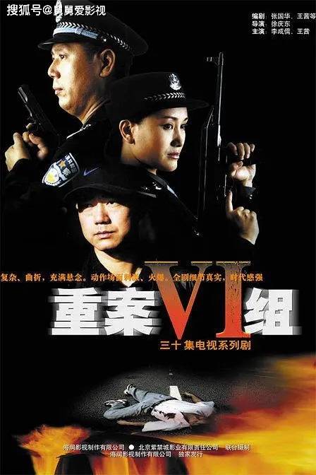 最新警匪电视剧内地版