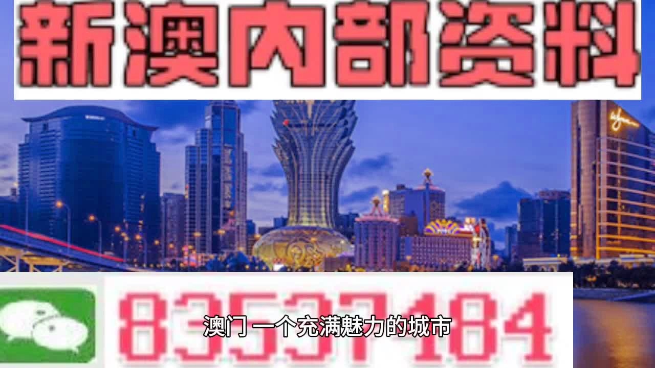 2025新澳门正版免费资料,专家解说解释定义_互动版62.221