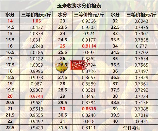 陈化粮稻谷最新价格，稻米之旅的心灵探寻