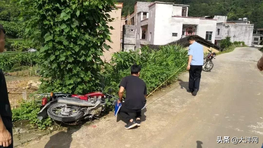 茂名高州车祸新闻背后的小巷美食揭秘