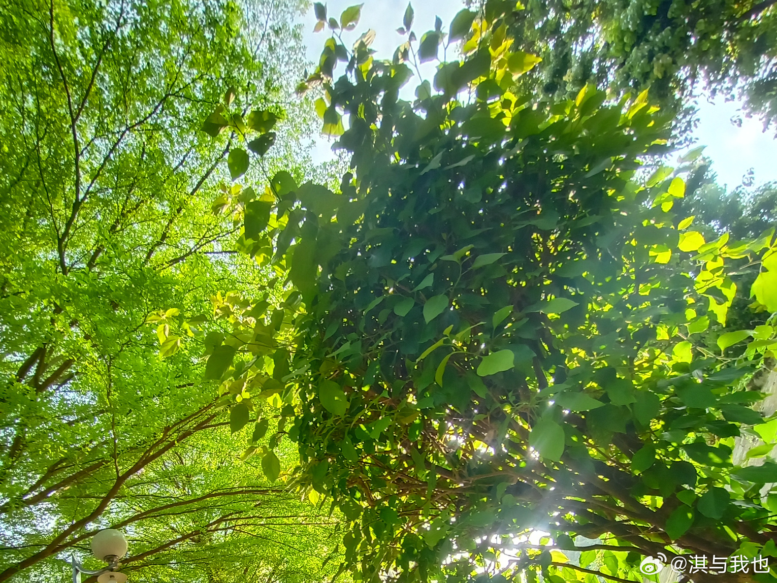 绿意盎然新篇章开启，生态繁荣的新时代