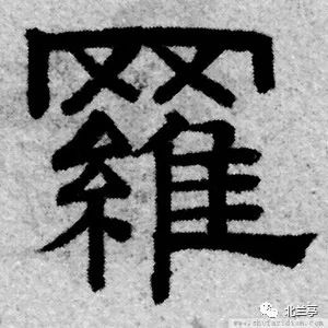 最新罗字图片头像，审美趋势与个人立场的探索