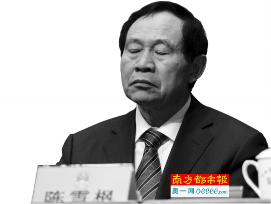 洛阳陈雪枫最新消息