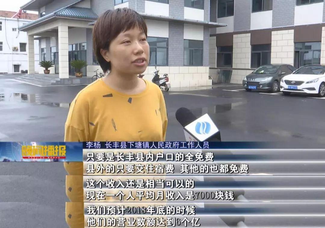 合肥下塘镇最新消息概览