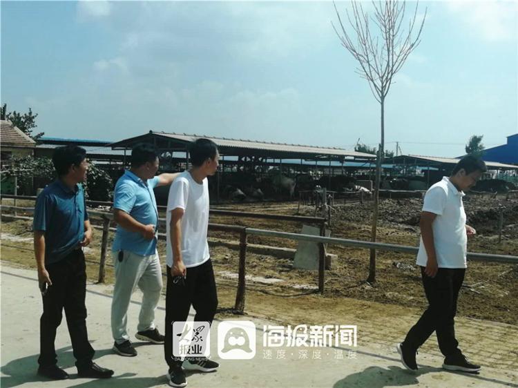 乐陵市丁坞镇规划详解，步骤指南与最新规划概览