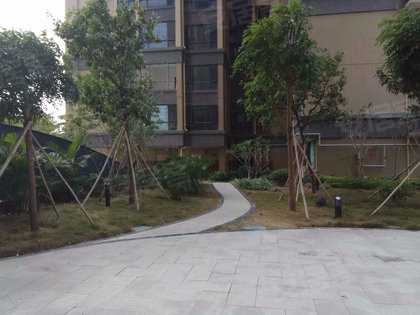 大坤金洲广场最新房价动态，变化中的学习力量与自信的力量影响房价走势